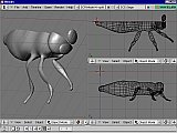 Blender screenshot of 3D moth model in progress
