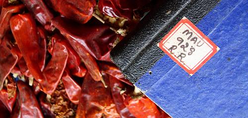 macro photo of a blue hardbound book on a bed of dried red chillies