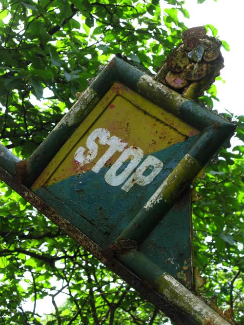 Lion stop sign - Sanjay Gandhi National Park