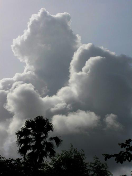 Monsoon clouds - Sanjay Gandhi National Park