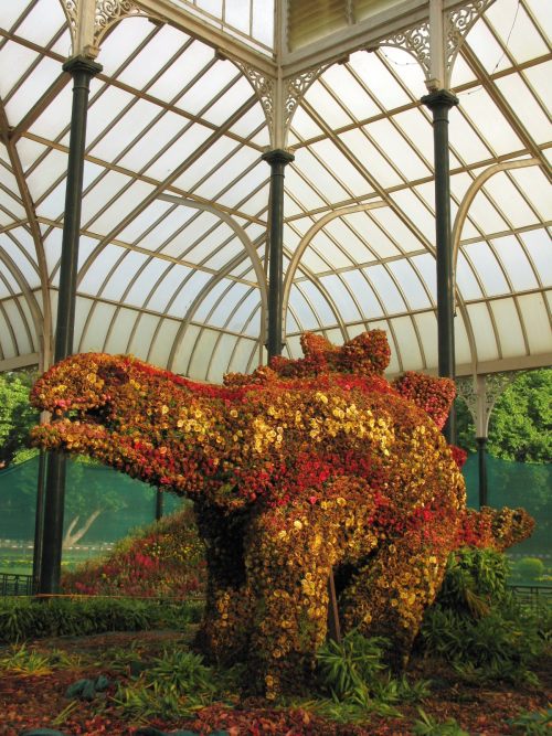 Dinosaur made of flowers at Lal Bagh