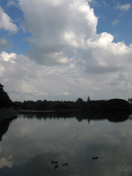 Lal Bagh Lake - Bengaluru