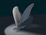 Blender screenshot of 3D moth model in progress, now with uv texture grid